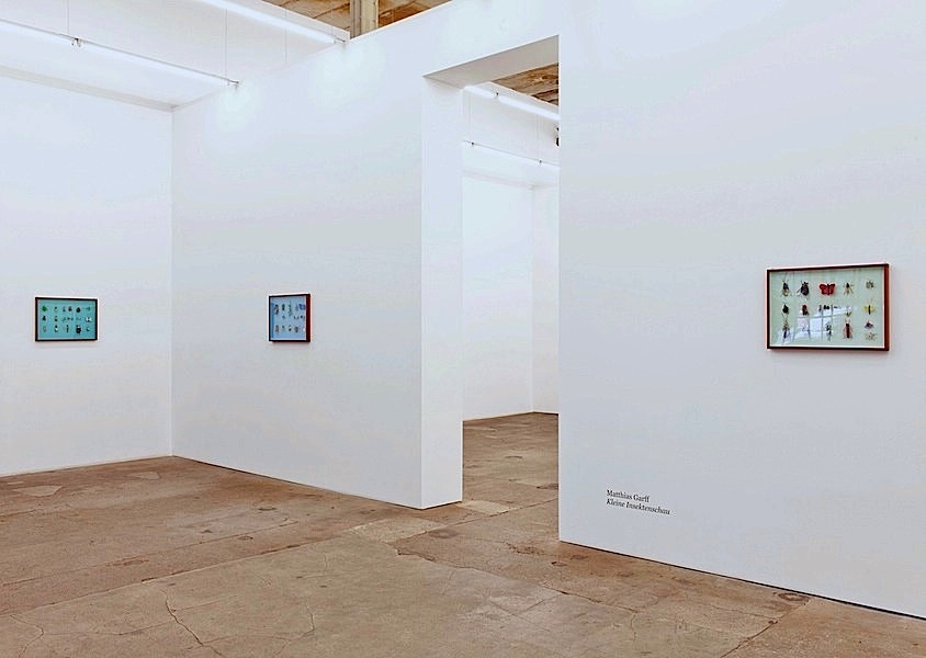 Matthias Garff: Kleine Insektenschau bei Josef Filipp 2016, Installation View

